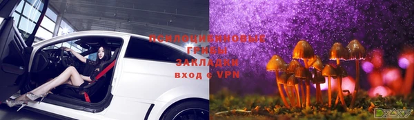 гашик Михайлов