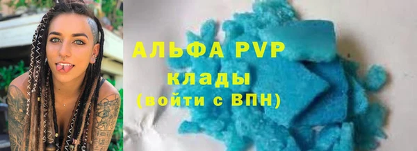гашик Михайлов