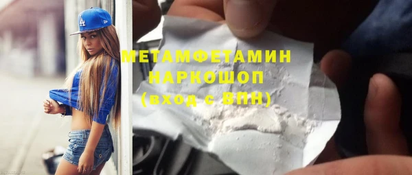 PSILOCYBIN Дмитриев