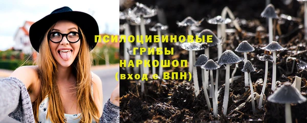 PSILOCYBIN Дмитриев