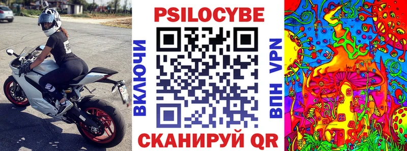 купить   гидра рабочий сайт  Псилоцибиновые грибы мухоморы  Корсаков 