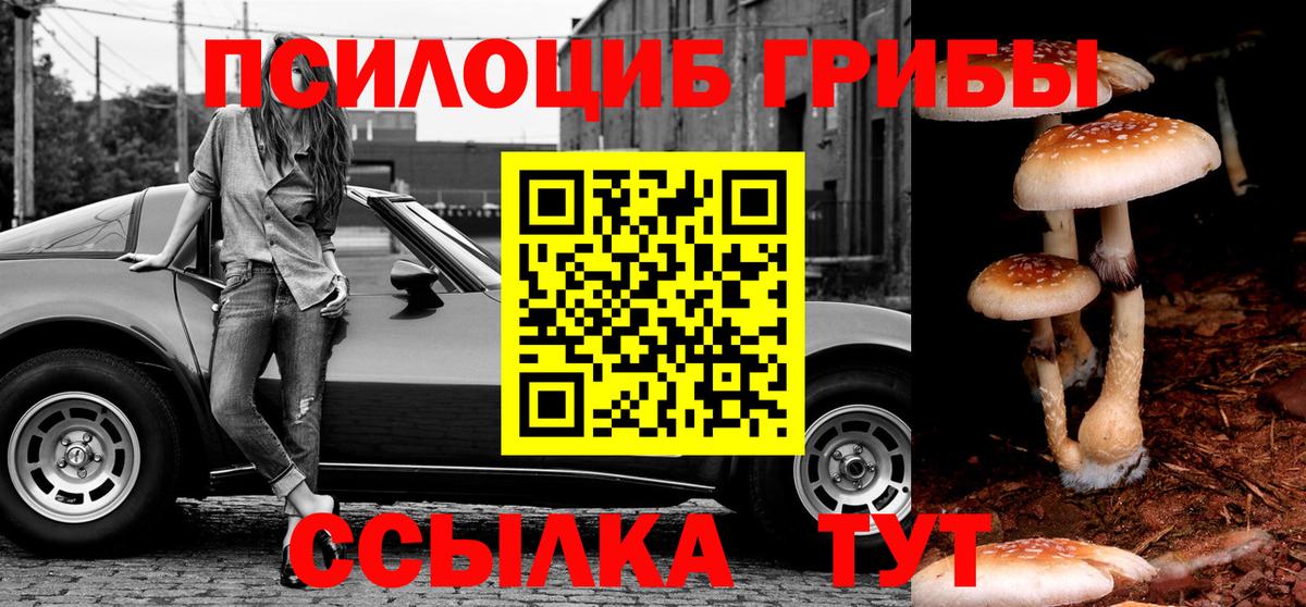 Корсаков  Псилоцибиновые грибы MAGIC MUSHROOMS  Вход с VPN 