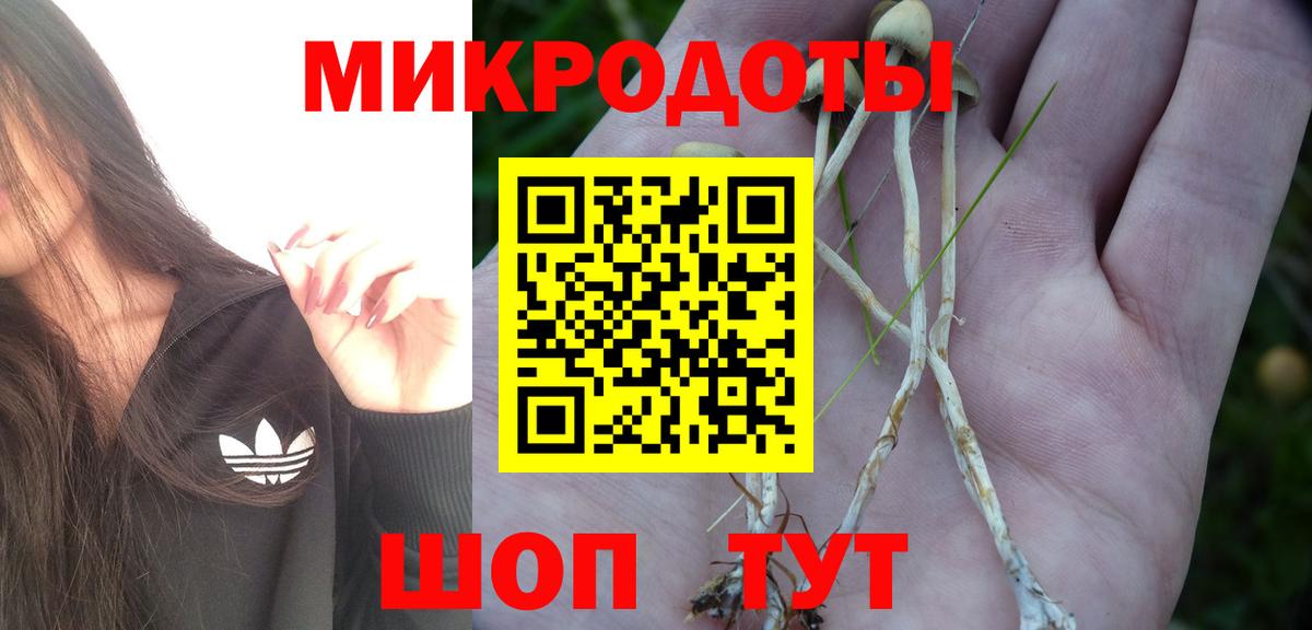 Псилоцибиновые грибы прущие грибы Корсаков