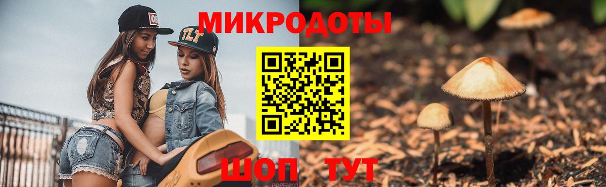 Галлюциногенные грибы мицелий  Корсаков  Псилоцибиновые грибы мухоморы 